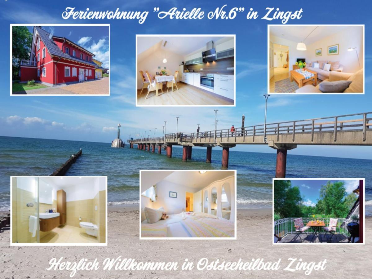 Arielle Nr 6 - Fuer Die Schoenste Zeit Des Jahres - Zingst Exterior photo